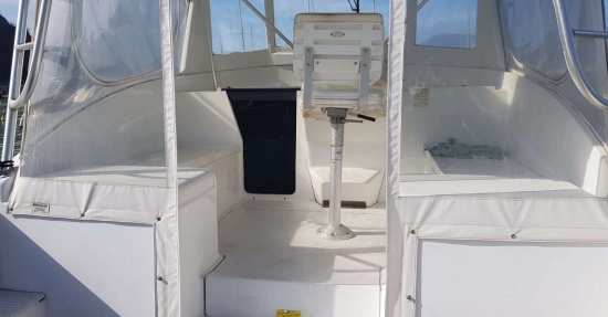 Luhrs 290 usata in vendita