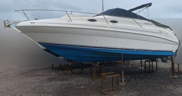 Sea Ray 240 usata in vendita