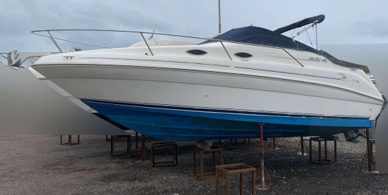 Sea Ray 240 usata in vendita