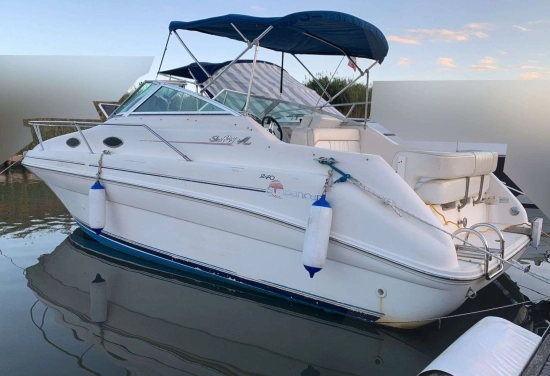Sea Ray 240 usata in vendita