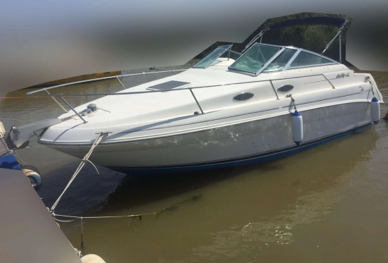Sea Ray 240 usata in vendita