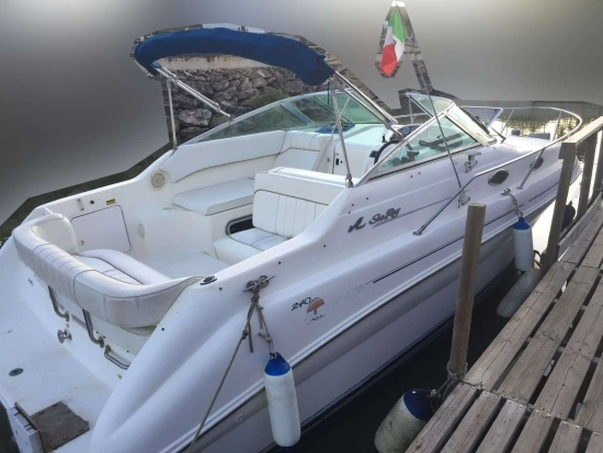 Sea Ray 240 usata in vendita