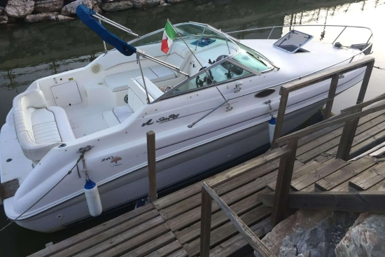 Sea Ray 240 usata in vendita