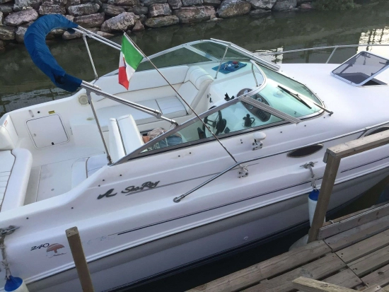 Sea Ray 240 usata in vendita