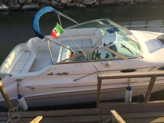 Sea Ray 240 usata in vendita
