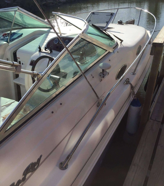 Sea Ray 240 usata in vendita