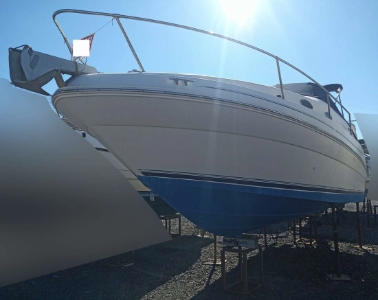 Sea Ray 240 usata in vendita