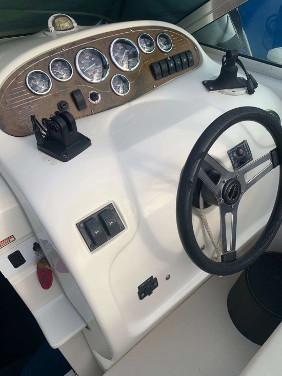 Sea Ray 240 usata in vendita