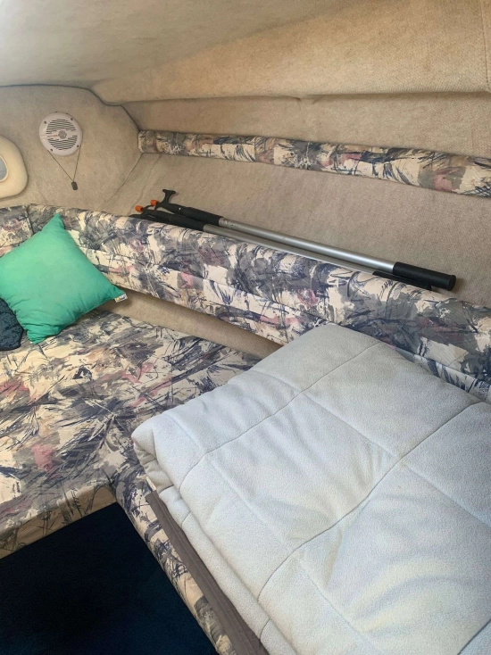 Sea Ray 240 usata in vendita