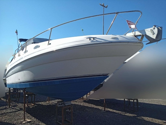 Sea Ray 240 usata in vendita