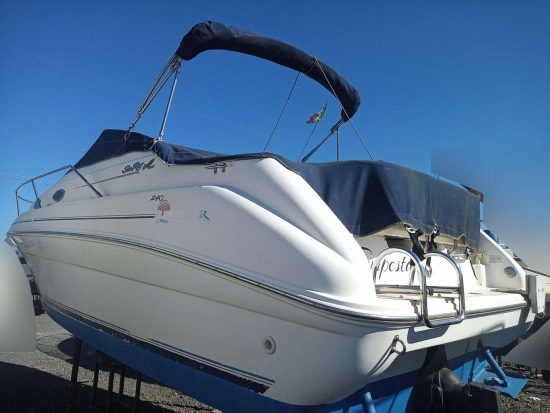 Sea Ray 240 usata in vendita