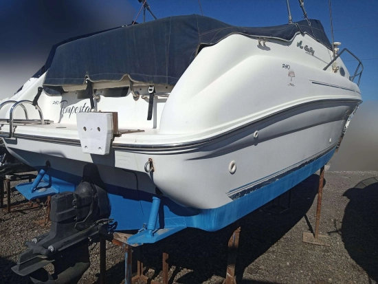 Sea Ray 240 usata in vendita