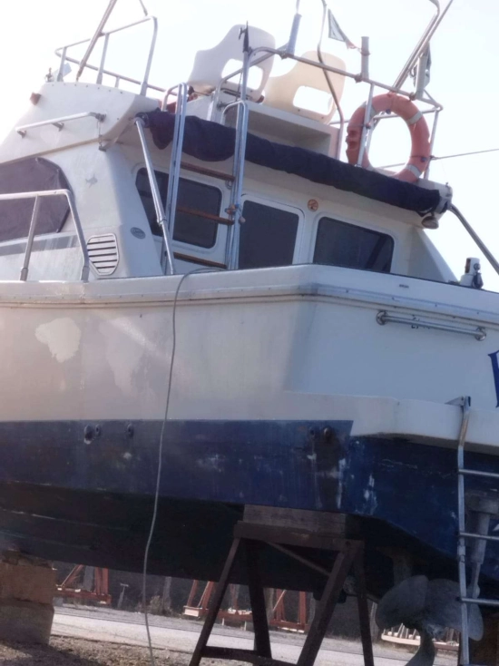 Cayman Yachts 30 FLY usata in vendita