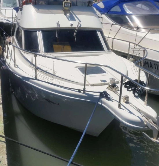 Cayman Yachts 30 FLY usata in vendita