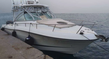 Hydra Sports SPORT 2900 VECTOR VX usata in vendita