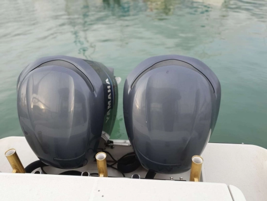 Hydra Sports SPORT 2900 VECTOR VX usata in vendita
