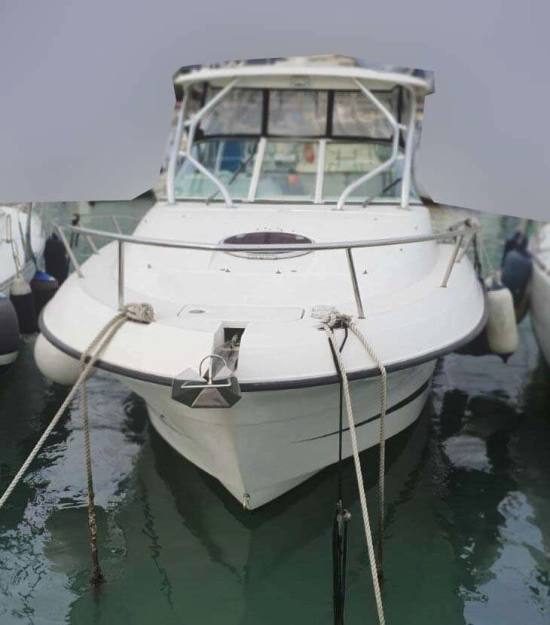 Hydra Sports SPORT 2900 VECTOR VX usata in vendita