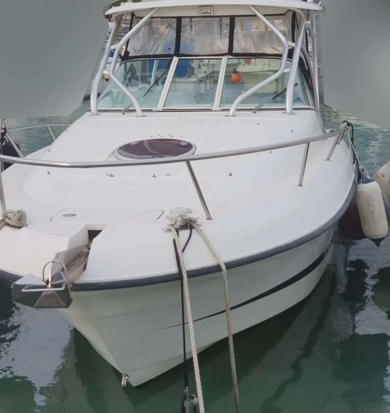 Hydra Sports SPORT 2900 VECTOR VX usata in vendita