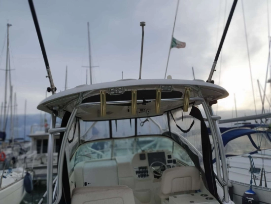 Hydra Sports SPORT 2900 VECTOR VX usata in vendita