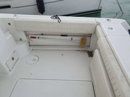 Hydra Sports SPORT 2900 VECTOR VX usata in vendita