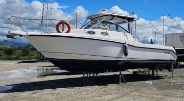 Boston Whaler CONQUEST 305 usata in vendita