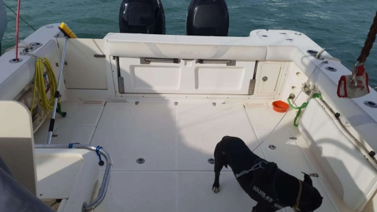 Boston Whaler CONQUEST 305 de segunda mano en venta