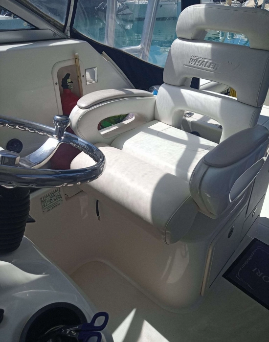 Boston Whaler CONQUEST 305 de segunda mano en venta
