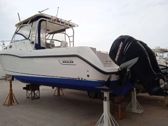 Boston Whaler CONQUEST 305 de segunda mano en venta