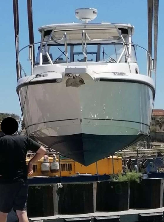 Boston Whaler CONQUEST 305 de segunda mano en venta