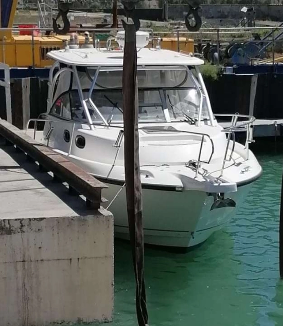Boston Whaler CONQUEST 305 de segunda mano en venta