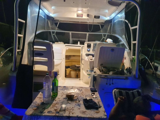 Boston Whaler CONQUEST 305 de segunda mano en venta
