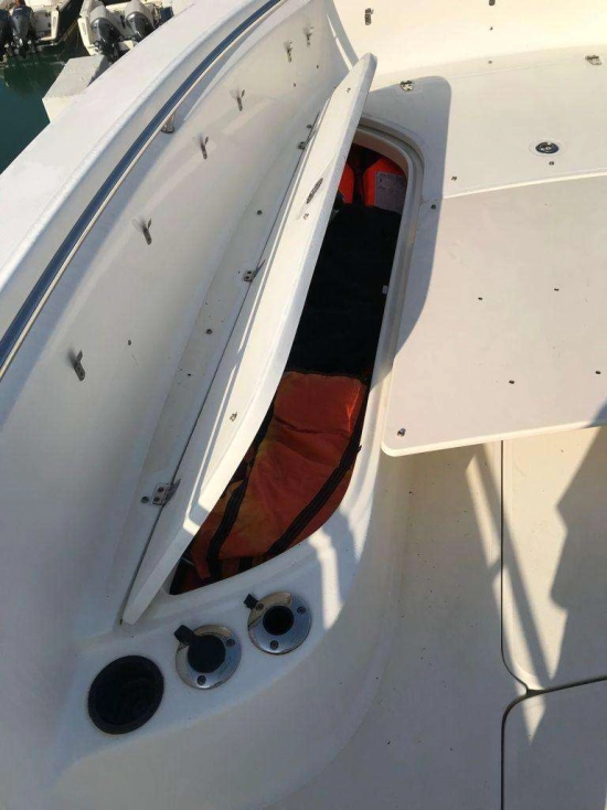 Boston Whaler 320 de segunda mano en venta