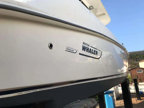 Boston Whaler 320 de segunda mano en venta