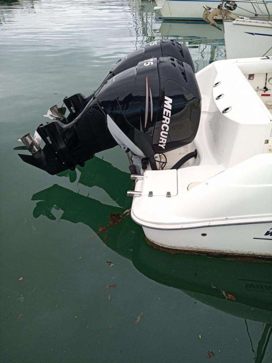 Boston Whaler 320 de segunda mano en venta
