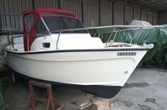 TRIPESCE 20 HIPPY de segunda mano en venta
