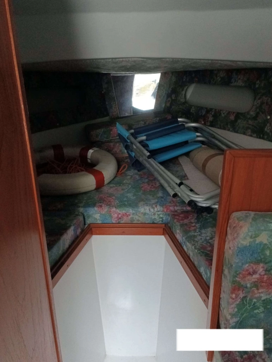 Tuccoli Marine T 25 usata in vendita