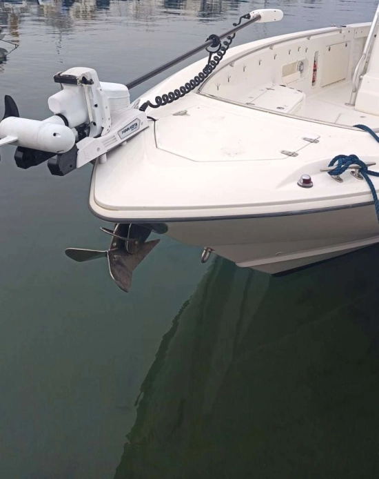 Boston Whaler OUTRAGE 320 de segunda mano en venta