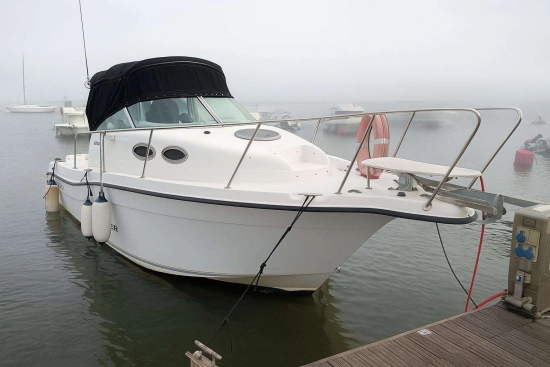 SEASWIRL 2601 STRIPER WA de segunda mano en venta
