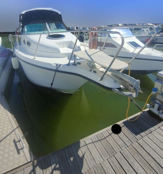SEASWIRL 2601 STRIPER WA de segunda mano en venta