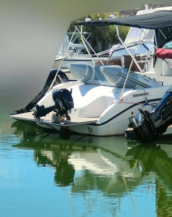 SEASWIRL 2601 STRIPER WA de segunda mano en venta