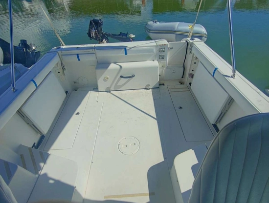 SEASWIRL 2601 STRIPER WA de segunda mano en venta