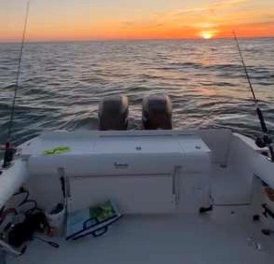 Bayliner TROPHY 2502 WA usado à venda