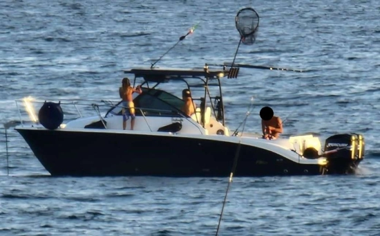 Bayliner TROPHY 2502 WA usado à venda
