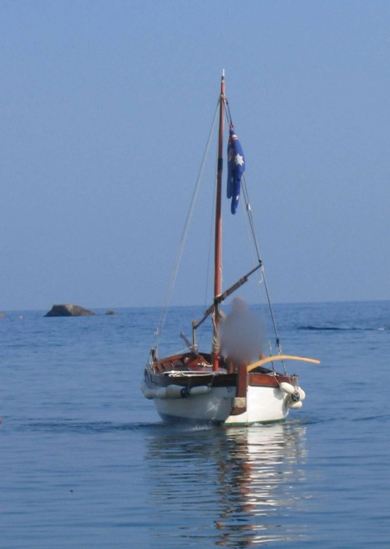 Custom IN LEGNO A VELA LATINA usata in vendita