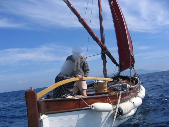 Custom IN LEGNO A VELA LATINA usata in vendita