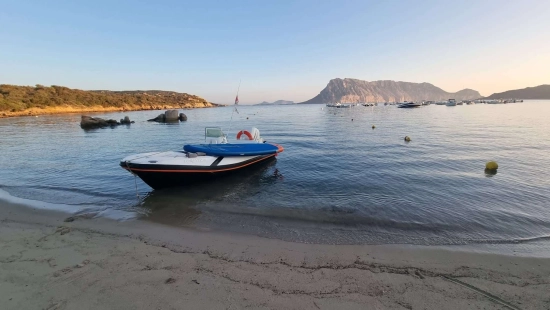 ZAR ZAR 47 usata in vendita