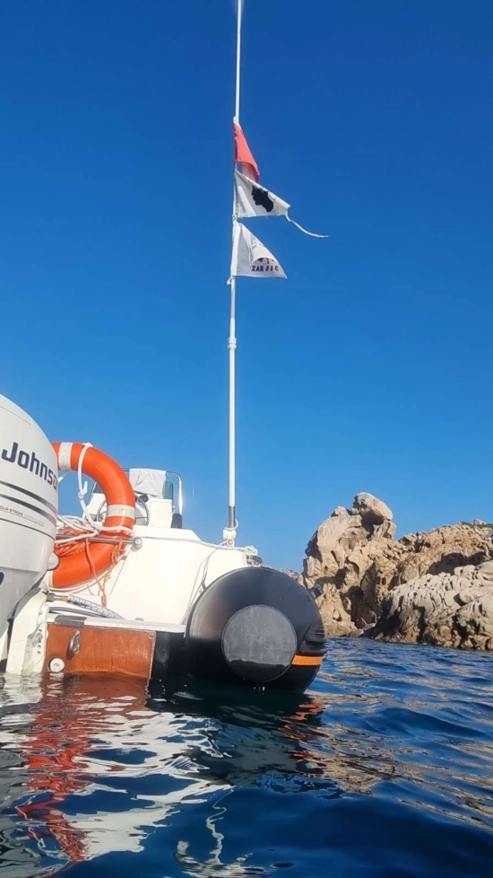 ZAR ZAR 47 usata in vendita