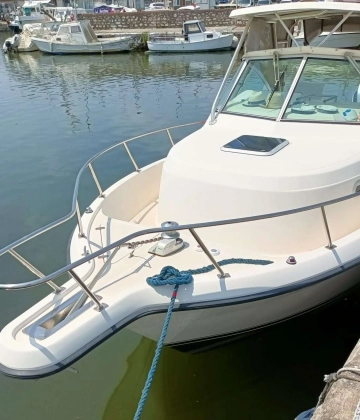 Pursuit 2870 WA usata in vendita