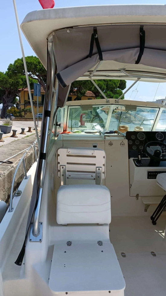 Pursuit 2870 WA usado à venda