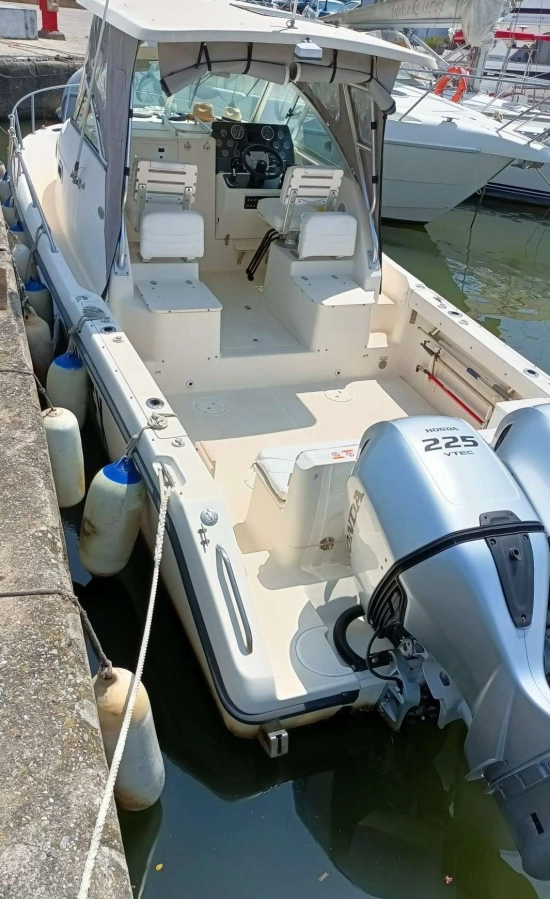 Pursuit 2870 WA usado à venda